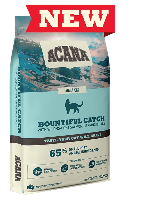 Acana Bountiful Catch Cat Food adult cat food, best cat food for adults