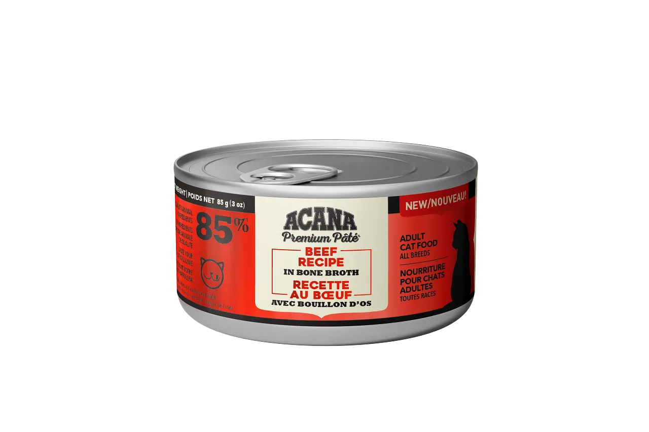 Acana Cat Beef Pate Recipe adult cat food, best cat food for adults