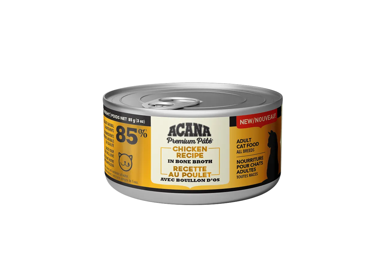 Acana Cat Chicken Pate Recipe adult cat food, best cat food for adults