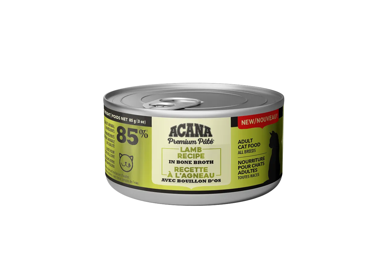 Acana Cat Lamb Pate Recipe adult cat food, best cat food for adults