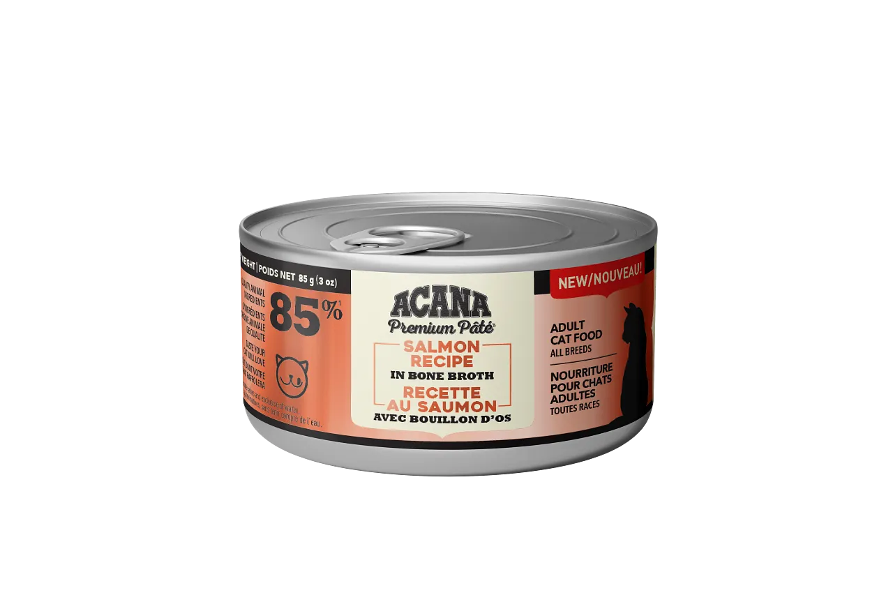 Acana Cat Salmon Pate Recipe adult cat food, best cat food for adults