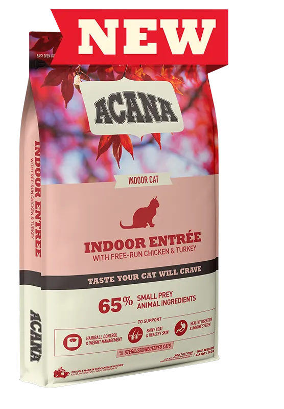 Acana Indoor Entre Cat Food adult cat food, best cat food for adults