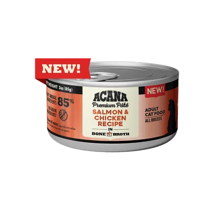 ACANA Premium Pate Salmon & Chicken Recipe Canned Cat Food wet cat food, canned cat food