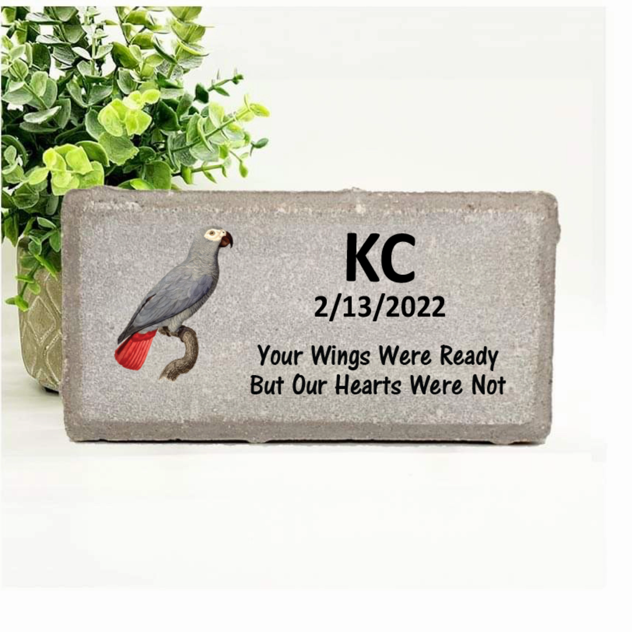 African Grey Memorial Stone - Your Wings Were Ready But Our Hearts Were Not