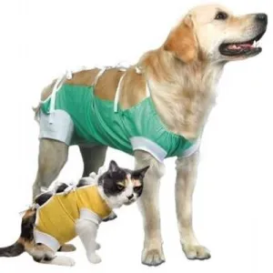 After Surgery Wear cat vitamins, cat immune support