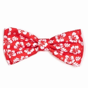Aloha Dog Bow Tie Coral dog collar accessory,collar decor