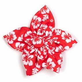 Aloha Dog Collar Flower Coral dog collar accessory,collar decor