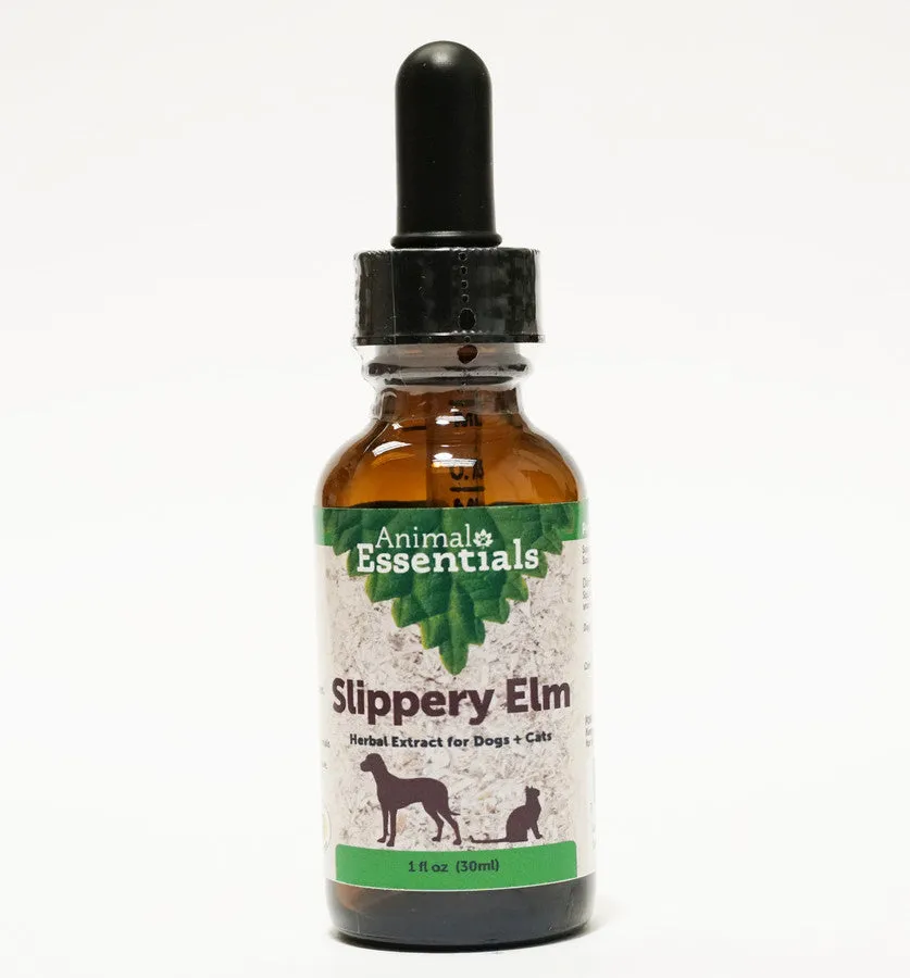 Animal Essentials Slippery Elm Supplement for Dogs and Cats cat digestion aid, sensitive stomach cat food