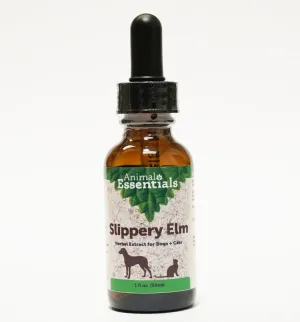 Animal Essentials Slippery Elm Supplement for Dogs and Cats cat digestion aid, sensitive stomach cat food