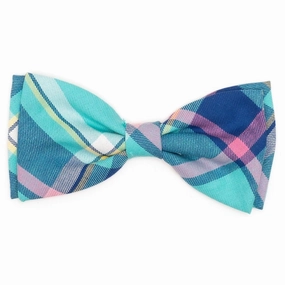 Aqua/Navy Plaid Dog Bow Tie dog collar accessory,collar decor