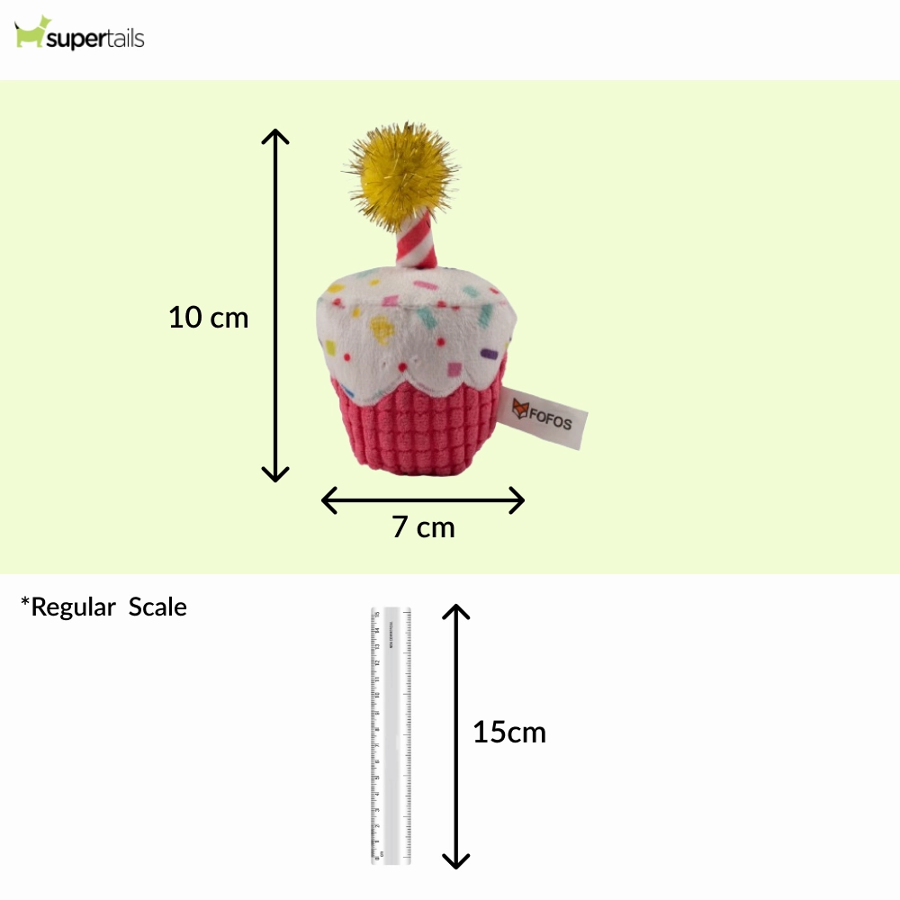Barkbutler x Fofos Birthday Cake Catnip Toy for Cats