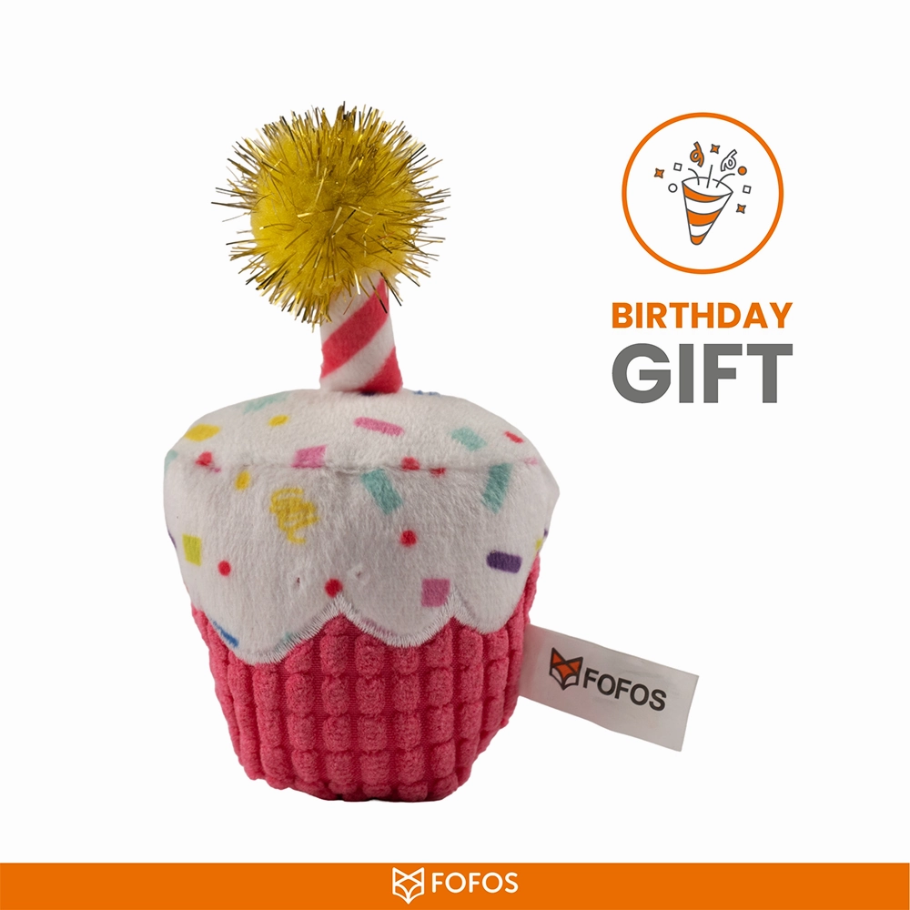 Barkbutler x Fofos Birthday Cake Catnip Toy for Cats
