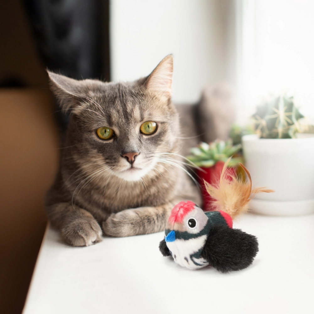 Barkbutler x Fofos Black Bird with Catnip Balls Interactive Toy for Cats (Black)