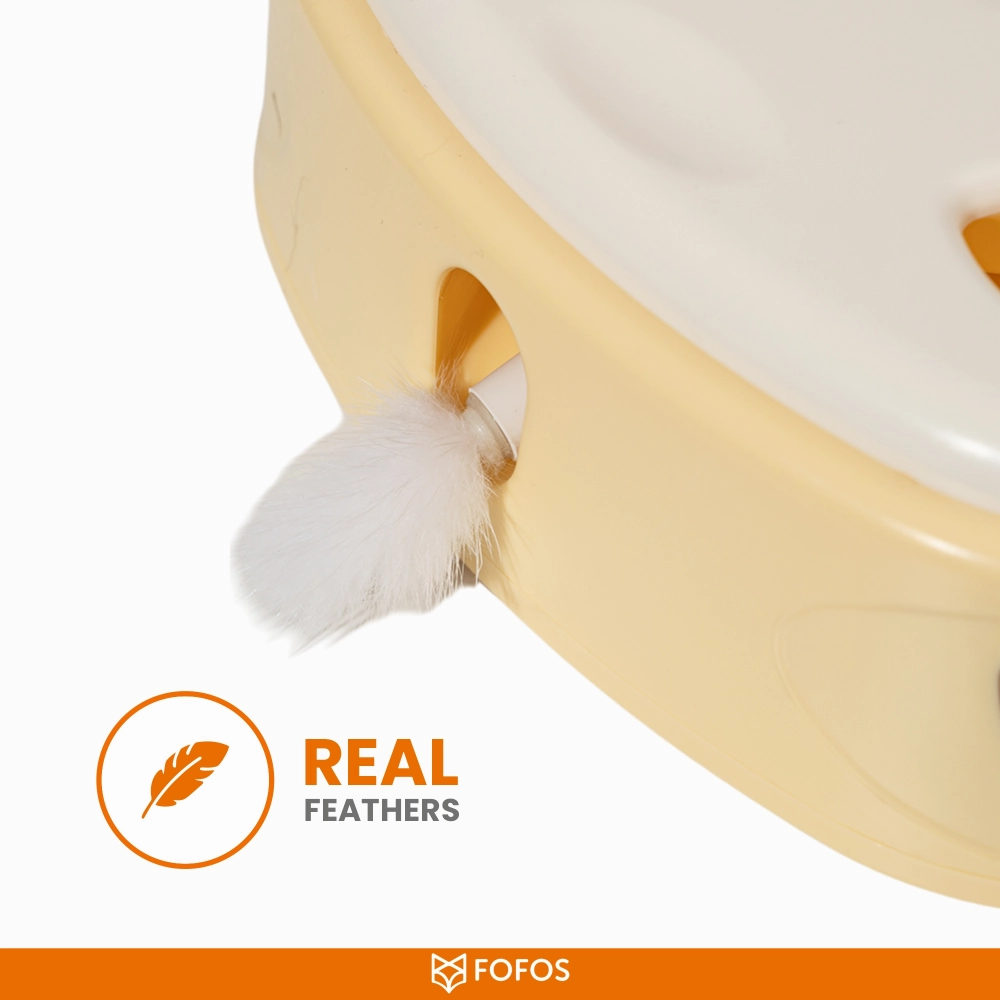 Barkbutler x Fofos Cheese Box Interactive Toy for Cats