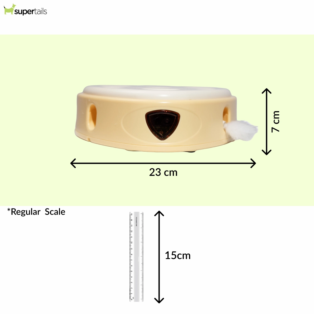 Barkbutler x Fofos Cheese Box Interactive Toy for Cats