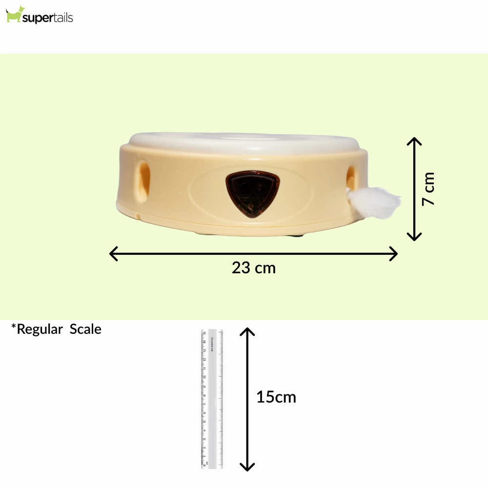 Barkbutler x Fofos Cheese Box Interactive Toy for Cats
