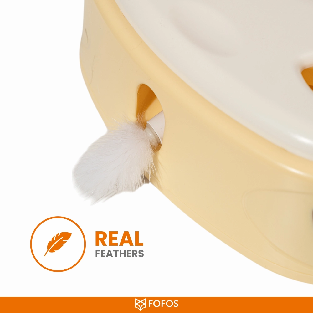 Barkbutler x Fofos Cheese Box Interactive Toy for Cats