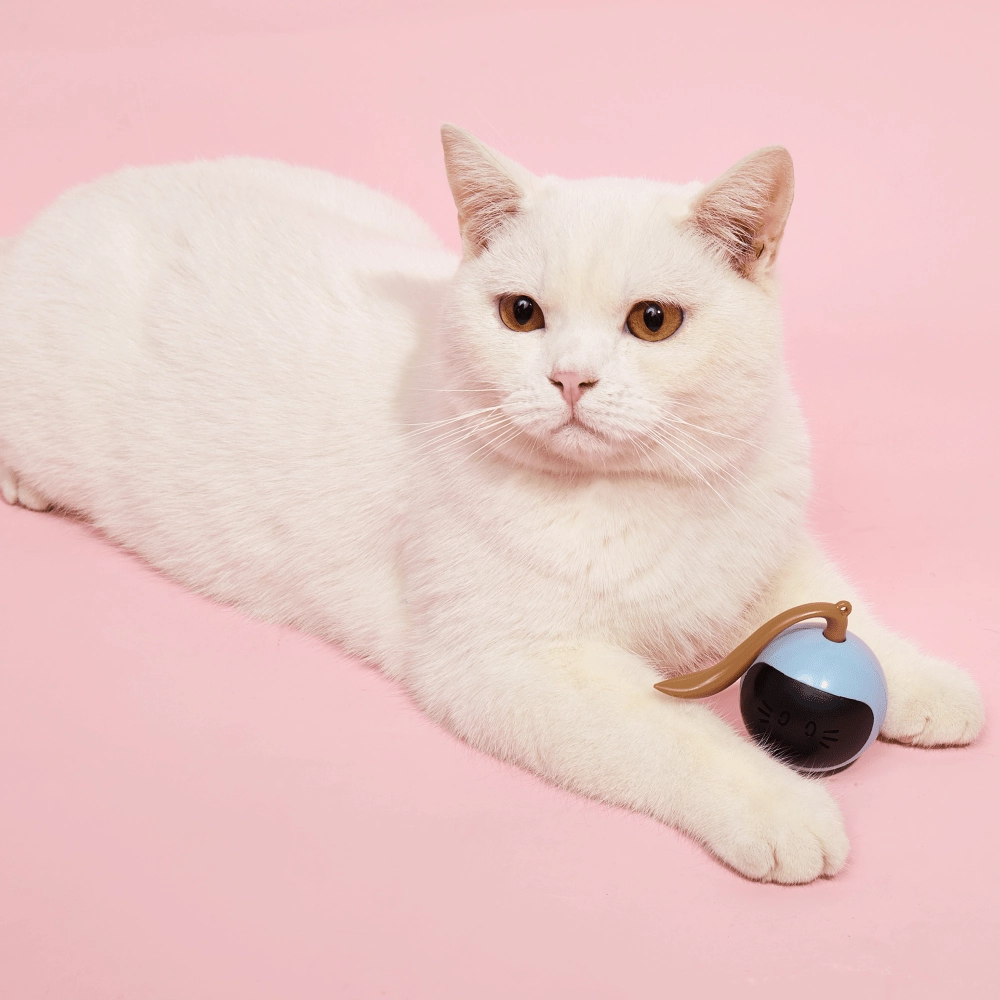 Barkbutler x Fofos Magic Ball Tumbler Smart Toy for Cats (White)