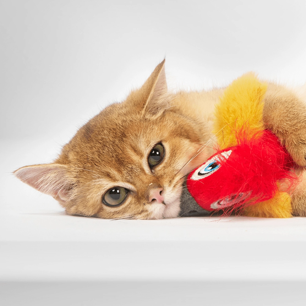 Barkbutler x Fofos Parrot with Catnip Balls Interactive Toy for Cats (Red)