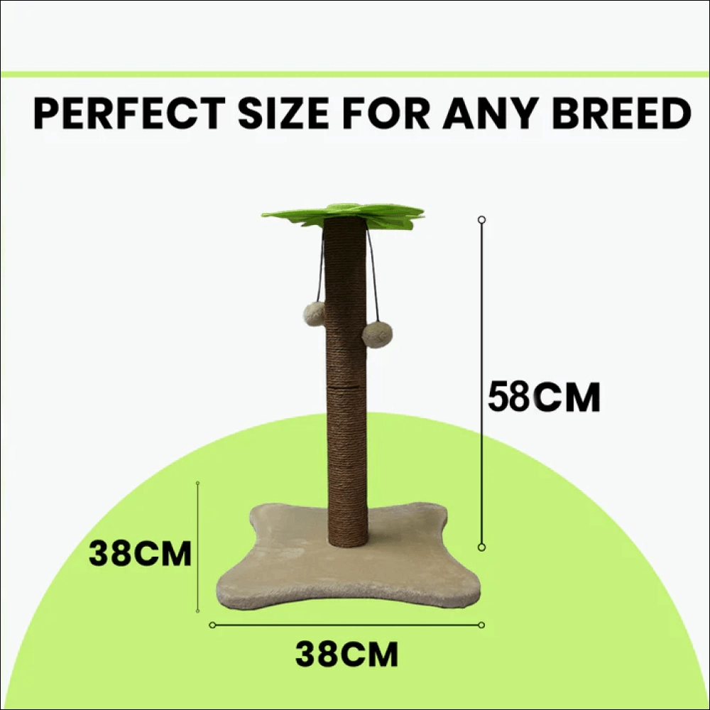Basil Coconut Tree Toy for Kittens & Cats (Green/Brown)