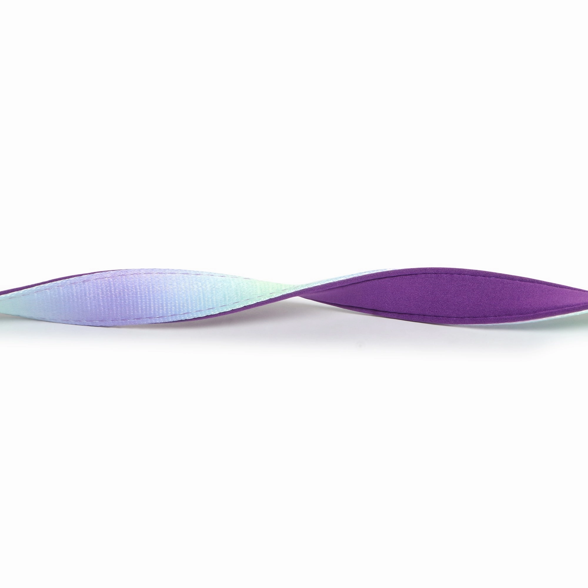 Basil Padded Leash for Dogs (Purple/Blue)