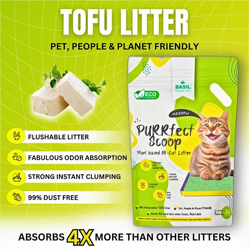 Basil Purrfect Green Tea Scented Clumping Cat Litter