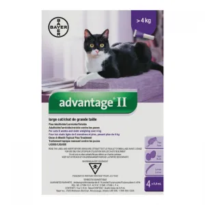 Bayer Advantage II For Cats adult cat food, best cat food for adults