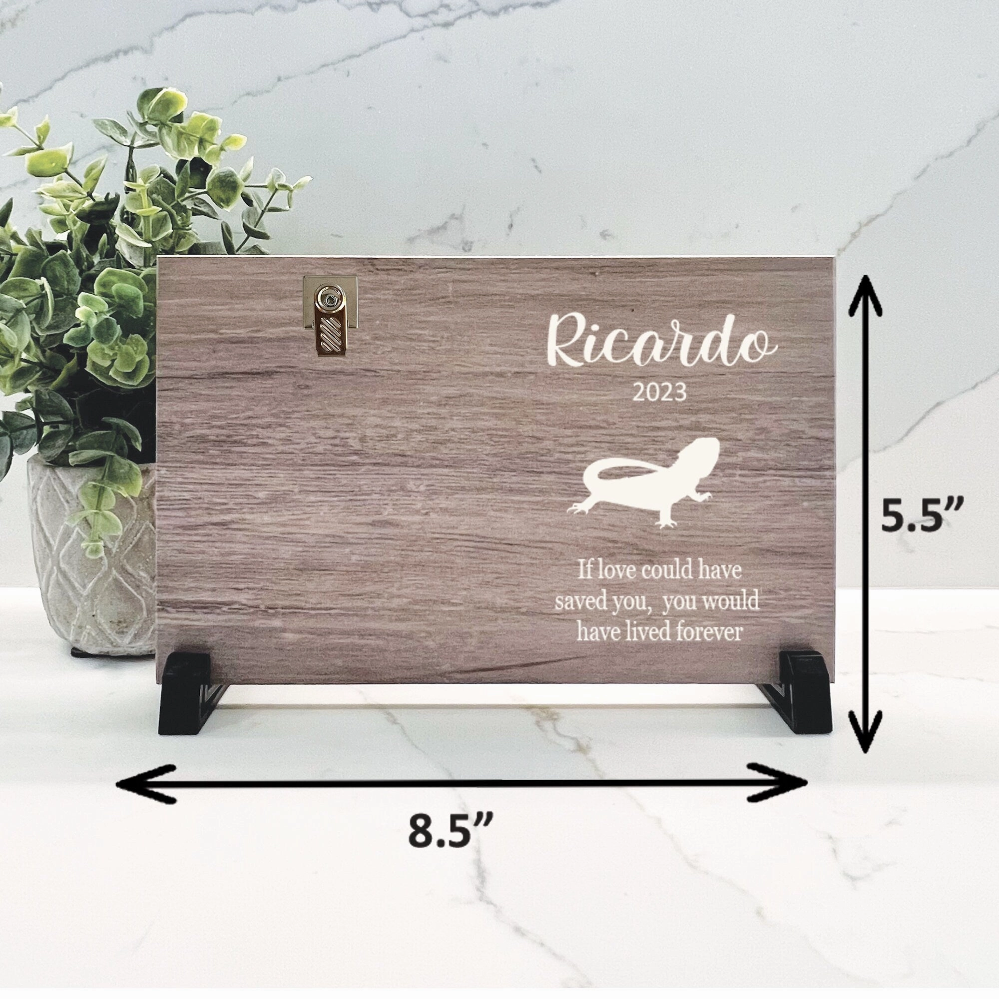 Bearded Dragon Memorial Frame