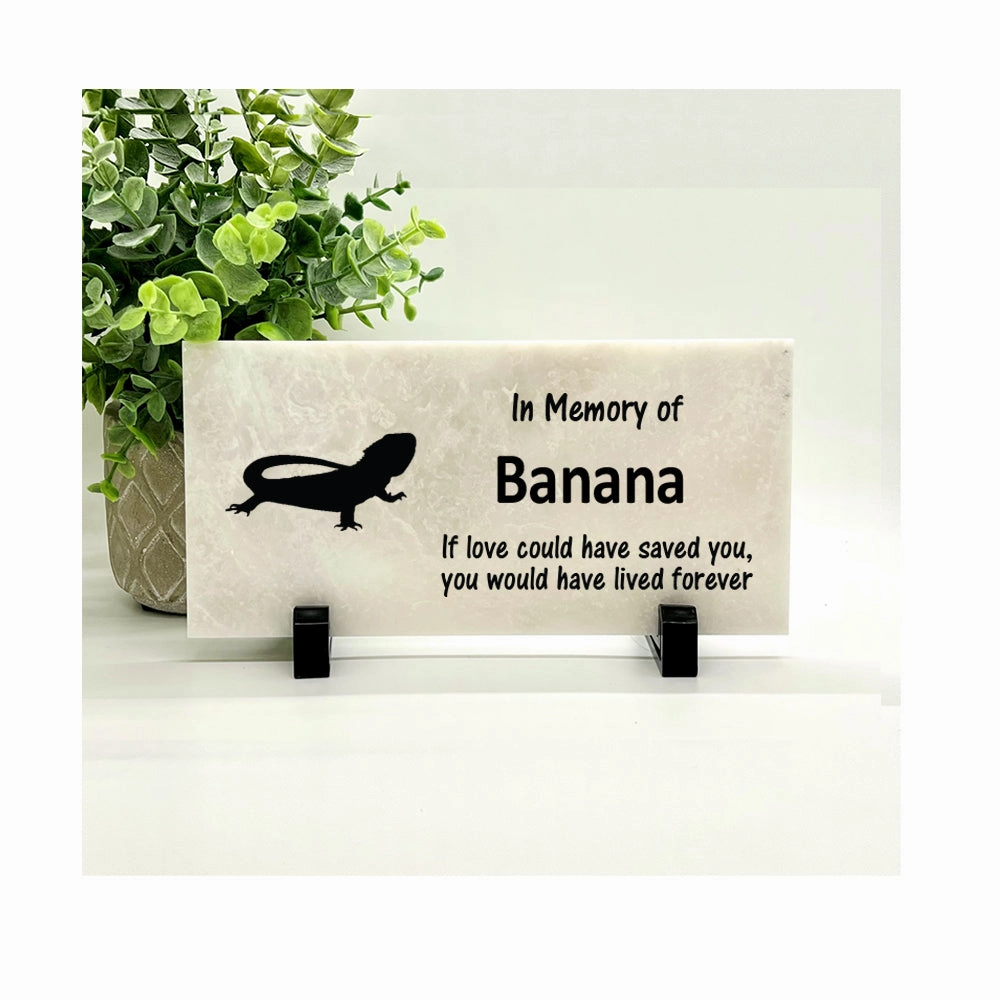 Bearded Dragon Memorial Stone - If love could have saved you, you would have lived forever