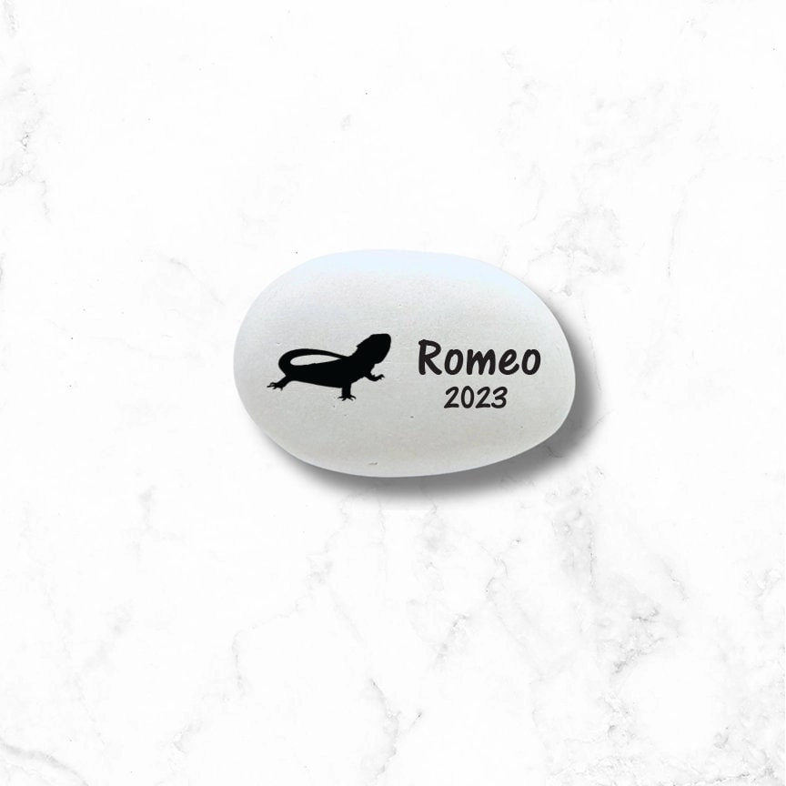 Bearded Dragon Memorial Stone- Personalized Dragon Memorial Gift