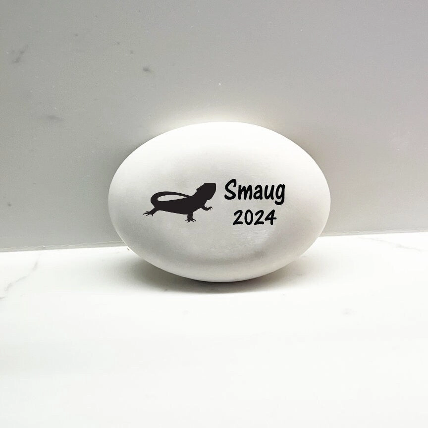 Bearded Dragon Memorial Stone- Personalized Dragon Memorial Gift