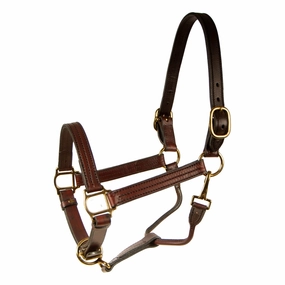 Berlin Track Leather Halter, 1" bird pet,aviary product