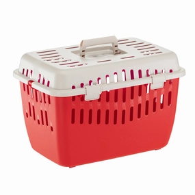BINNY 1 cat supplies,cat essentials