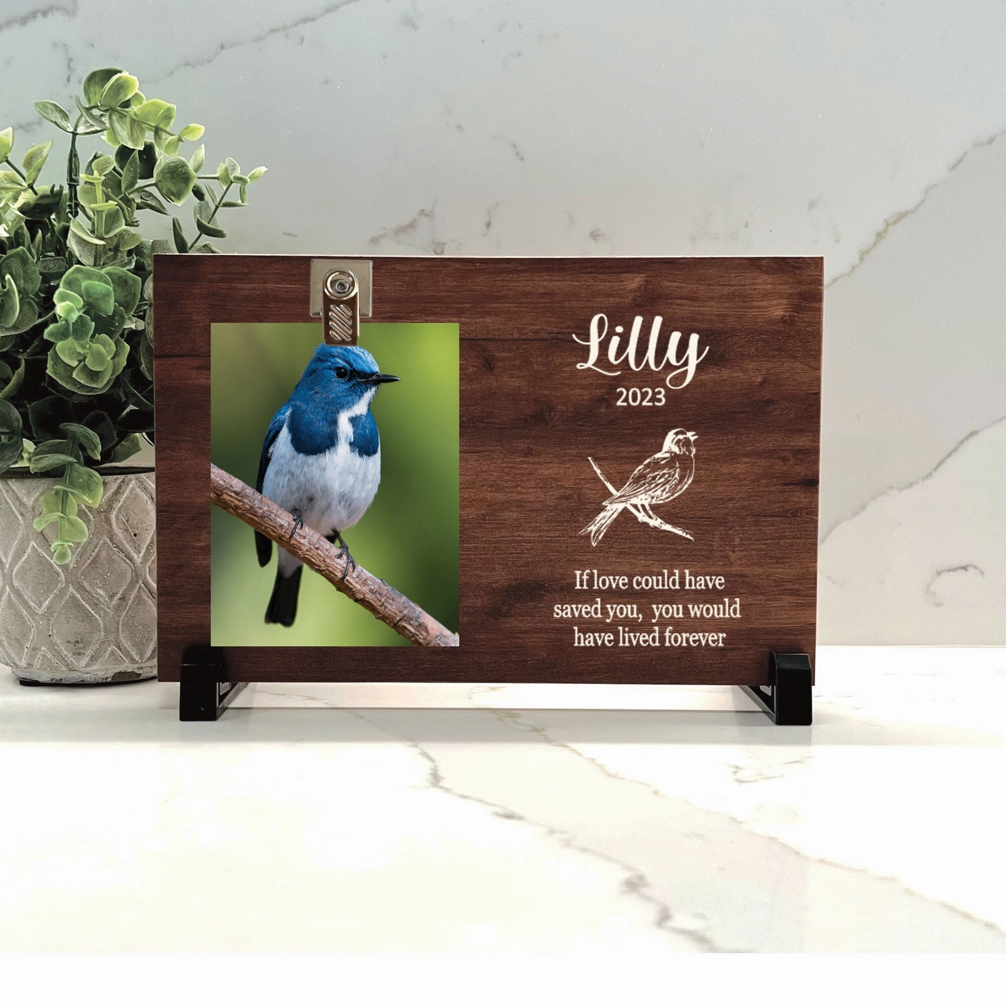 Bird Memorial Gift - Bird Memorial Frame show poultry,grooming poultry