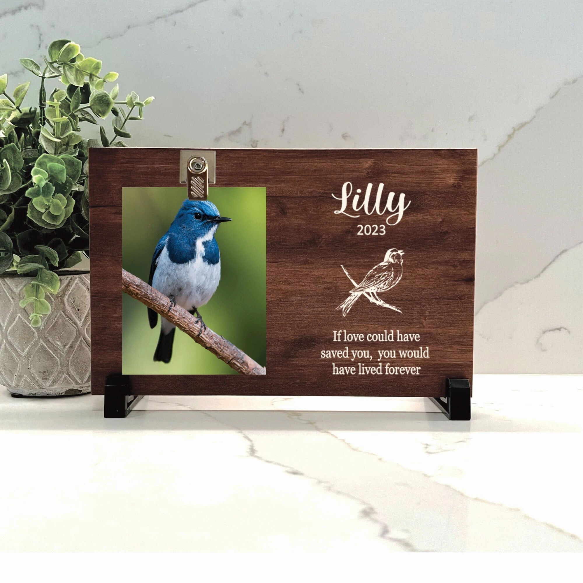 Bird Memorial Gift - Bird Memorial Frame