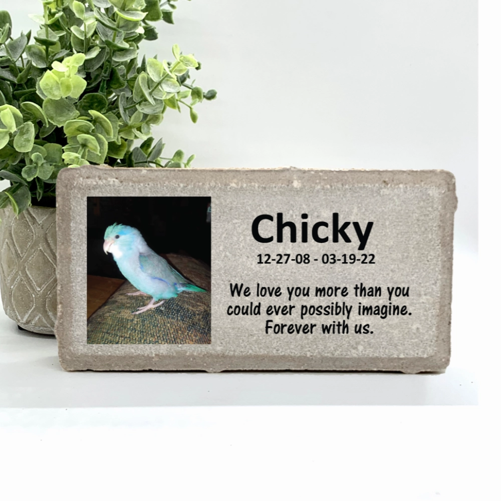 Bird Memorial Stone with Photo - Completely Personalized