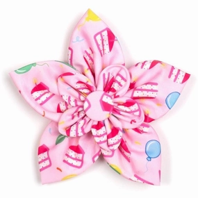 Birthday Girl Dog Collar Flower dog collar accessory,collar decor