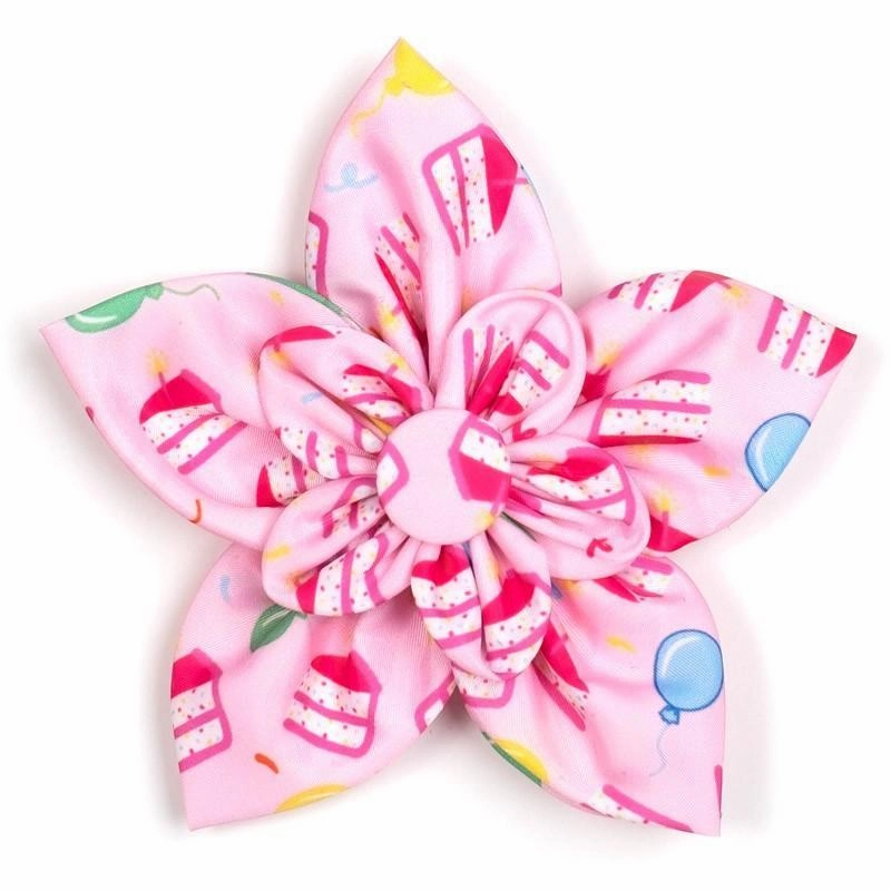 Birthday Girl Dog Collar Flower dog collar accessory,collar decor