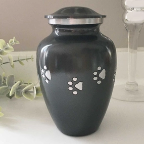 Black/Silver Paw Pet Cremation Urn for Ashes poultry halters,bird leash