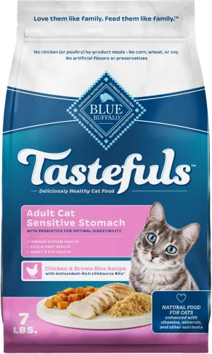 Blue Buffalo Sensitive Stomach Natural Chicken & Brown Rice Dry Cat Food indoor dry cat food, healthy cat kibble
