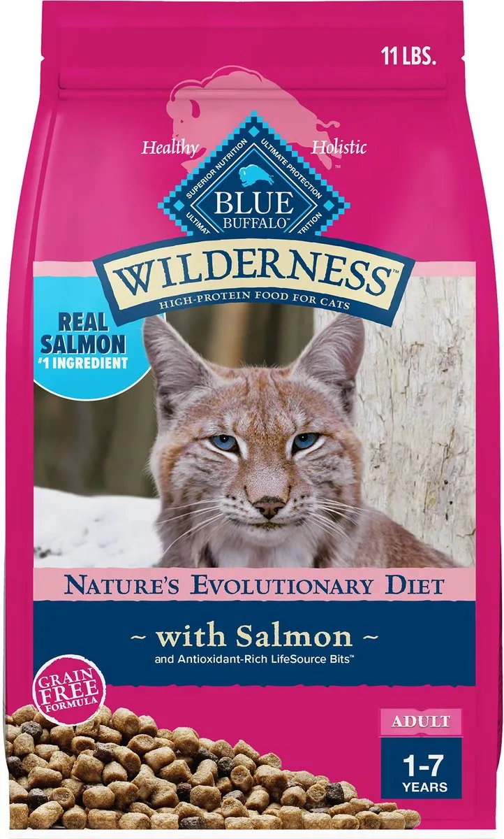 Blue Buffalo Wilderness Grain Free Salmon High Protein Recipe Dry Cat Food indoor dry cat food, healthy cat kibble