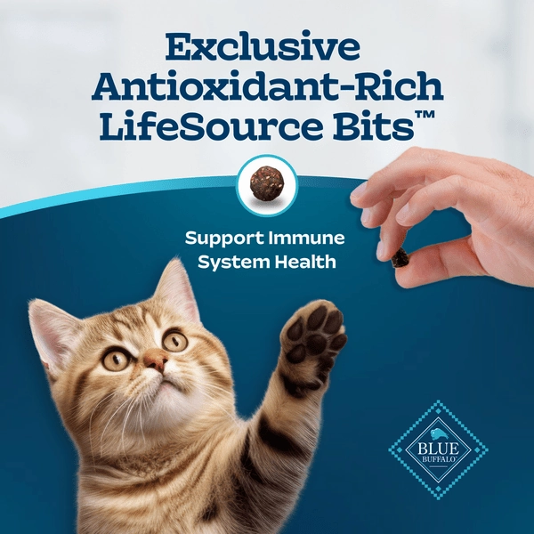 BLUE Tastefuls Healthy Growth Chicken & Brown Rice Recipe Kitten Dry Food, 7lb
