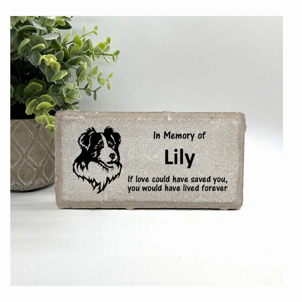 Border Collie Memorial Stone - Personalized Dog Sympathy Gift show poultry,grooming poultry