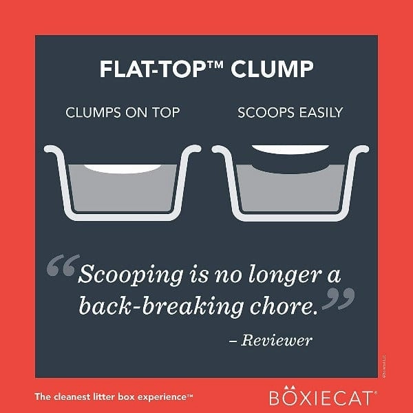 Boxiecat Extra Strength Scent-Free Premium Clumping Clay Cat Litter, 28lb