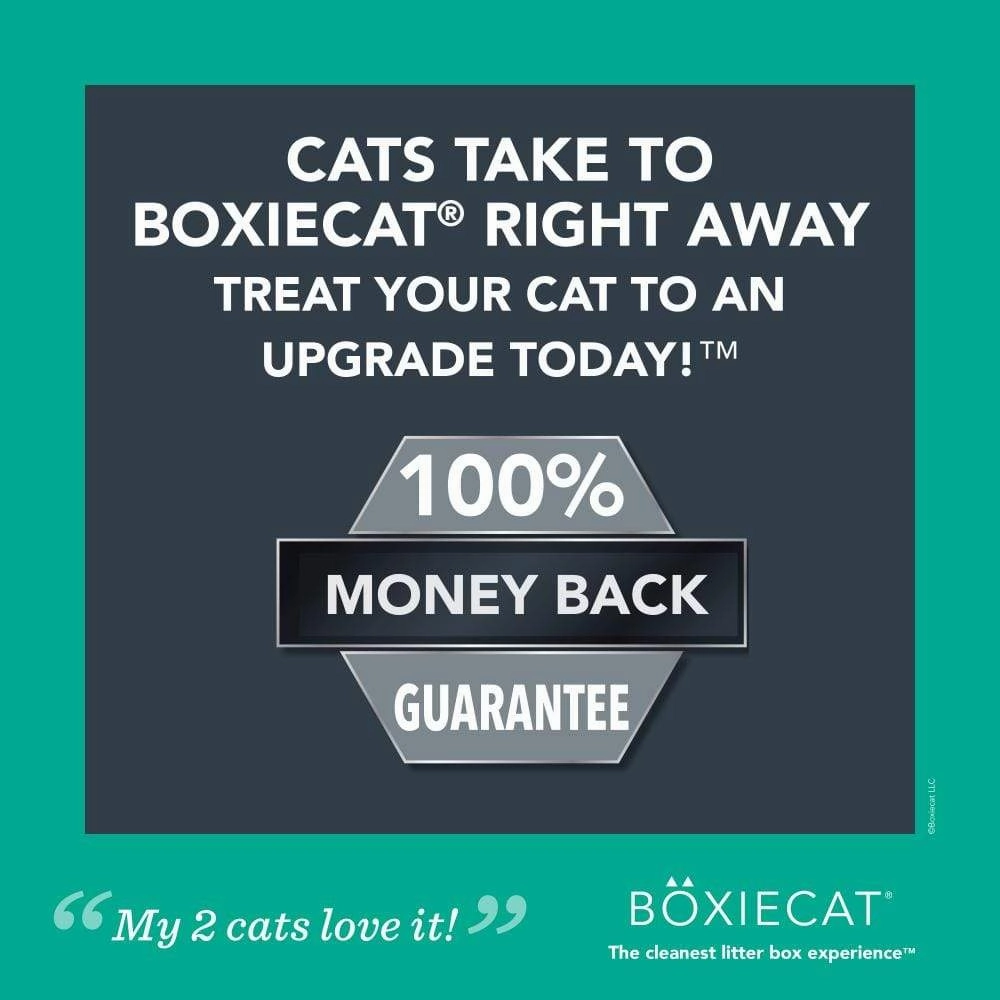 Boxiecat Gently Scented Premium Clumping Clay Litter