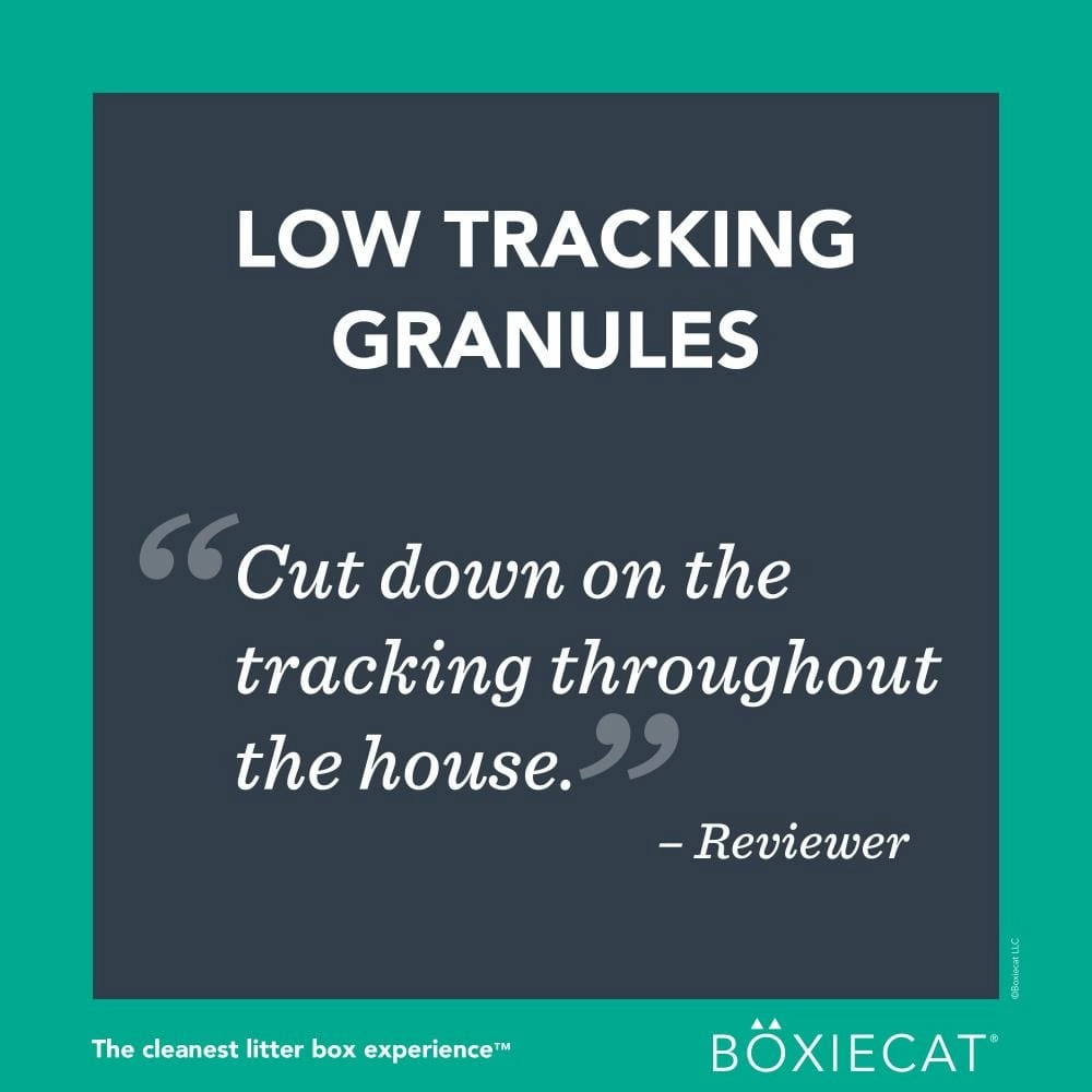 Boxiecat Gently Scented Premium Clumping Clay Litter