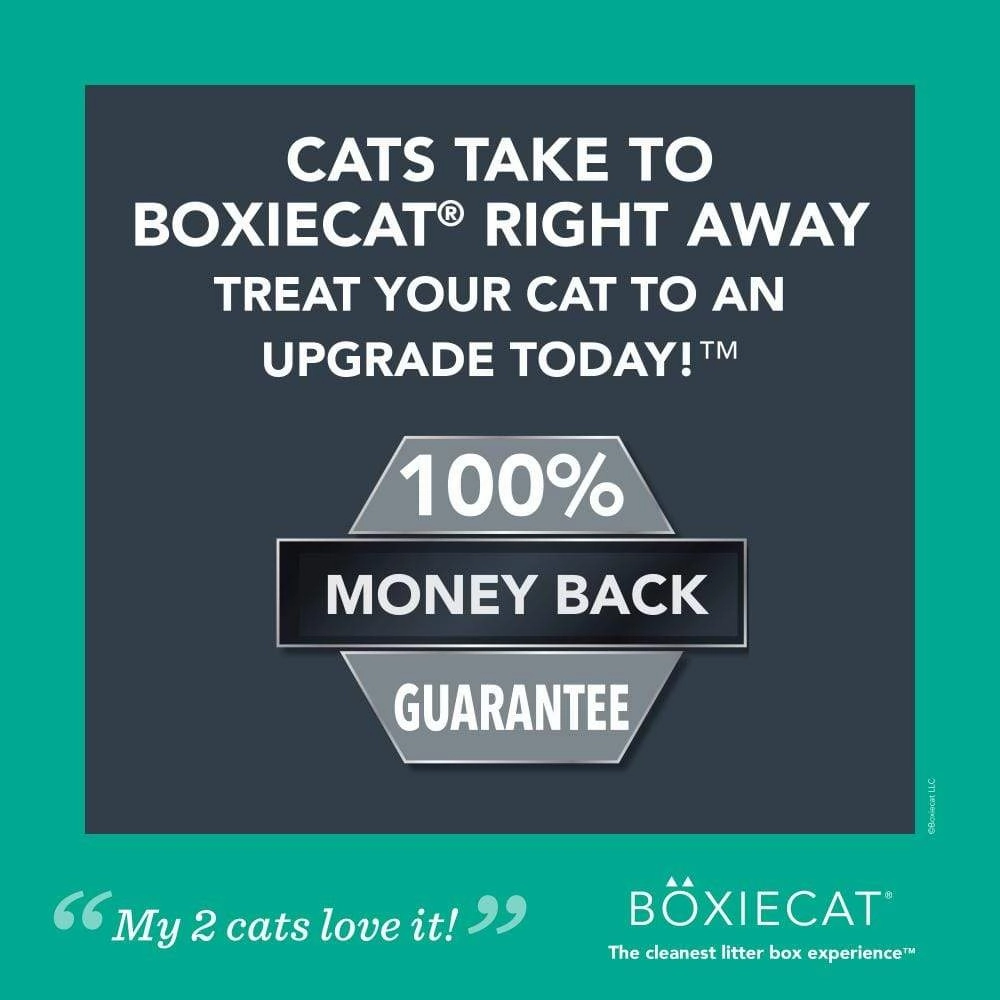 Boxiecat Gently Scented Premium Clumping Clay Litter