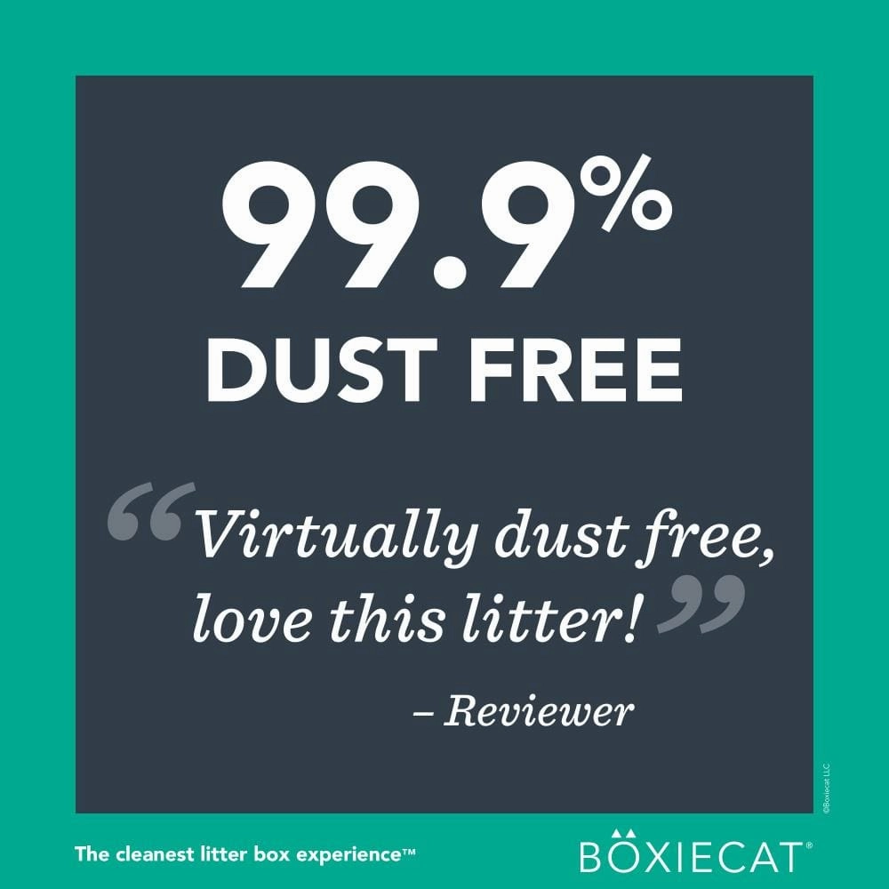 Boxiecat Gently Scented Premium Clumping Clay Litter