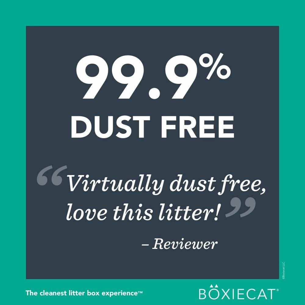 Boxiecat Gently Scented Premium Clumping Clay Litter