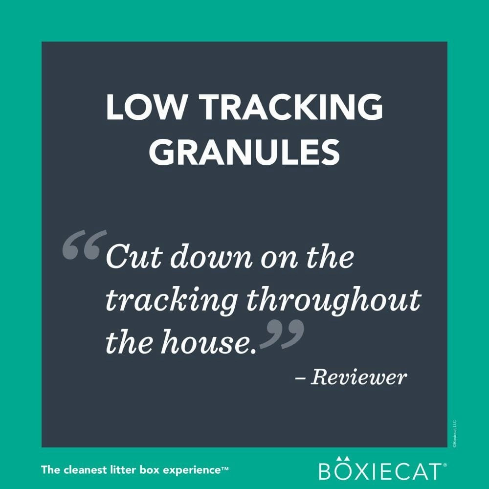 Boxiecat Gently Scented Premium Clumping Clay Litter